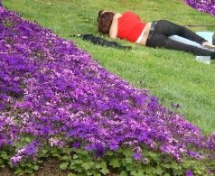 Find de bedste danske sexdating websites